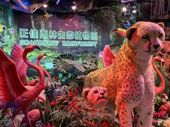 -正佳雨林生态植物园