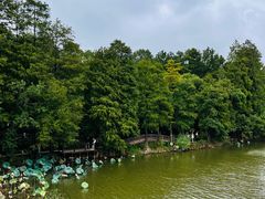 -东湖落雁景区