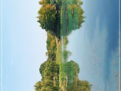 -贡湖湾湿地公园