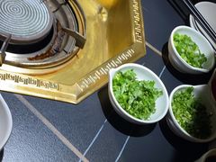 -蜀九香火锅(彩虹店)