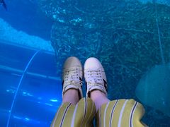 -迪拜水族馆及水下动物园