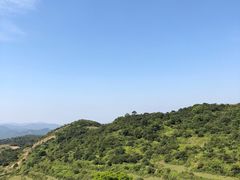 -大姆山草场