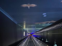 -白鹤梁水下博物馆