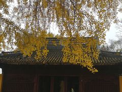 -苏州上方山国家森林公园