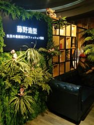 点击看大图 -藤野造型