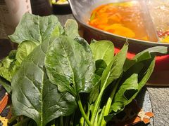 菠菜-湊湊火锅·茶憩(和平大悦城店)