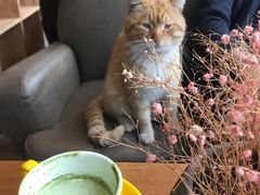 -远山有窑