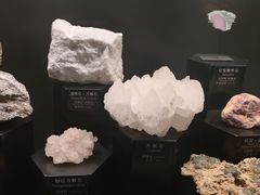 -正佳自然科学博物馆