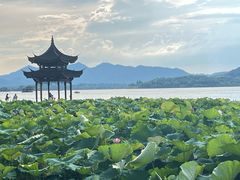 -青竺·青竹茶舍(断桥店)