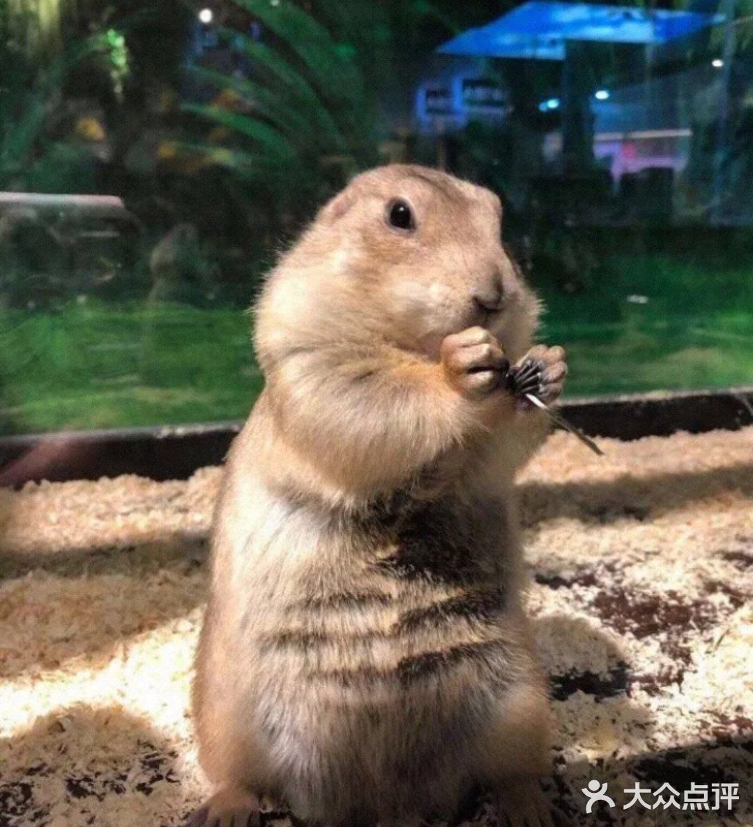 🐿撩宠乐园，心动的感觉～