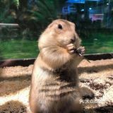 🐿撩宠乐园，心动的感觉～