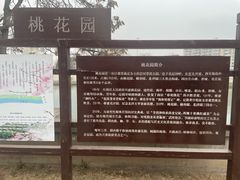 -桃花堤公园