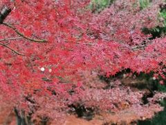 -南通博物苑-崇川人民公园