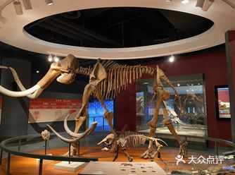 会给他的记忆增加很多的知识点