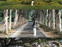-四海公园(南山区)