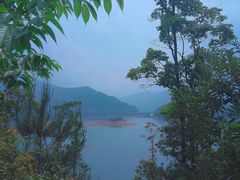 -广州市流溪河国家森林公园