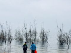 -阳宗海湿地