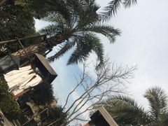-苏州湾王焰温泉度假酒店