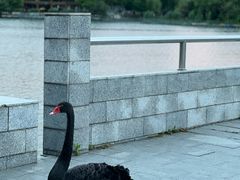 -江南大学(蠡湖校区)