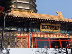 -八大处公园