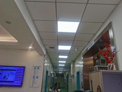 -北京观赏动物医院·24小时大型综合·猫专科·异宠专科