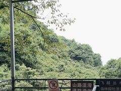 -南丹山森林王国