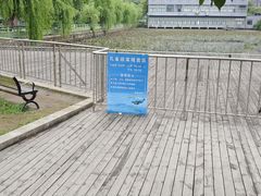 -华西村