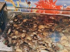 -亚马逊海鲜自助(梅溪湖步步高店)