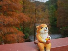 -云溪植物园