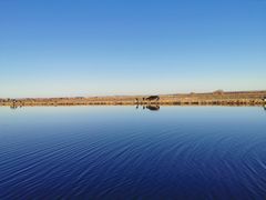 -白渔泡湿地公园