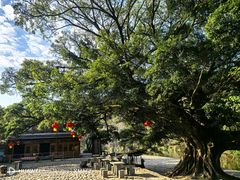 -福建土楼(南靖)景区