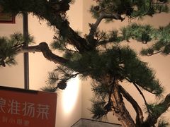 -小厨娘淮扬菜(六合欢乐港店)