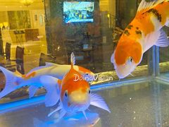 -五洲皇冠巴西烤肉餐厅