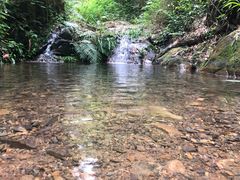 -羚羊峡古栈道森林公园