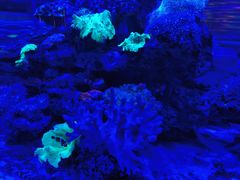 -上和臻品中国菜(花园街店)