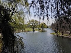 -上海共青森林公园