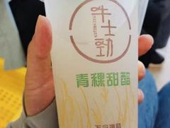 -德禄酸奶(莫家街店)