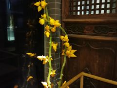 -稍可轩博物馆餐厅