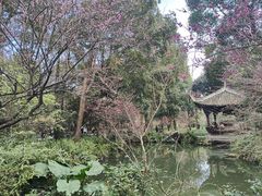-成都杜甫草堂博物馆