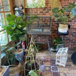 -青木造型HAIR·あおき髪を刈る潮人店