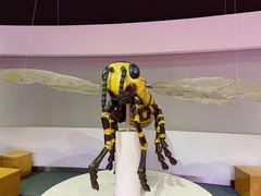 -陕西自然博物馆