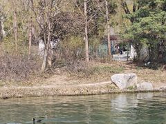 -济南大明湖景区