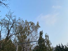 -大连福佳爱琴海购物公园(西安路店)