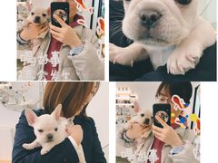 -GOOD好事咖啡(会展城店)