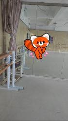 -艾薇芭蕾艺术中心