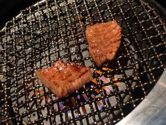 -东京烧肉 平城苑(银座５丁目店)