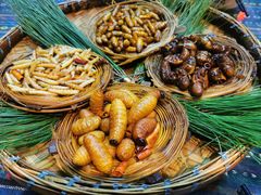 -昆虫窝子·特色云南菜(拓东路总店)