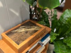 -一尺花园(安和花园店)