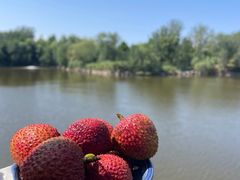 -靓海海鲜火锅(水上湖边观景店)