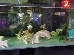 -中环花鸟鱼虫市场